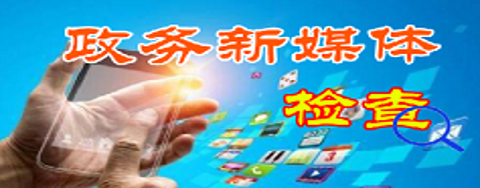 政務新媒體檢查